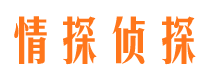 定州市婚外情调查